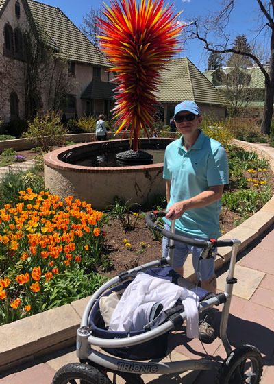 Rollator and flowers