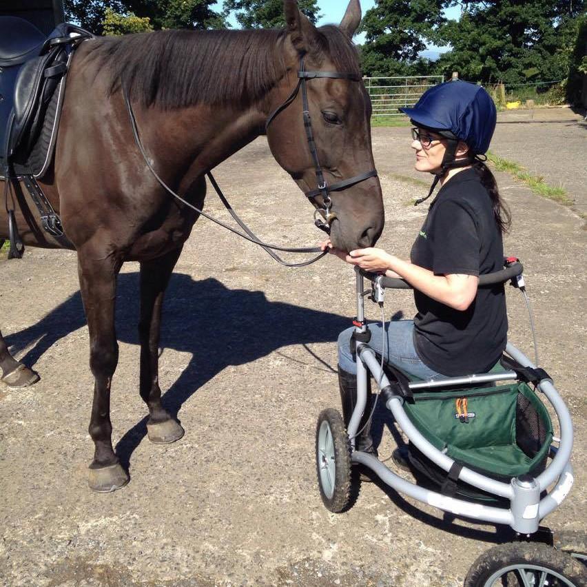 Johannes horse Bobkat approves the new Veloped